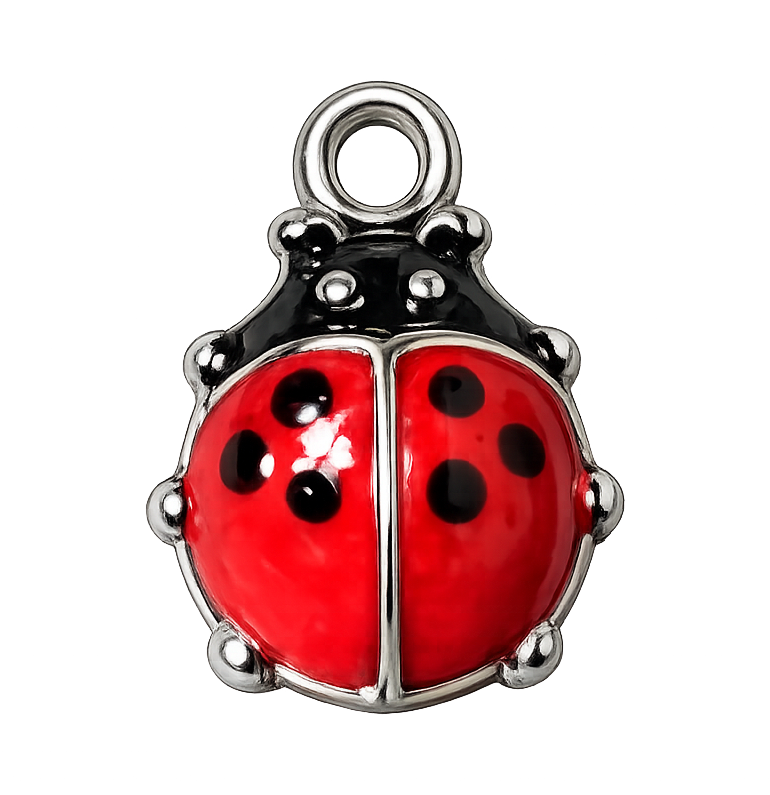 Coccinelle argentée