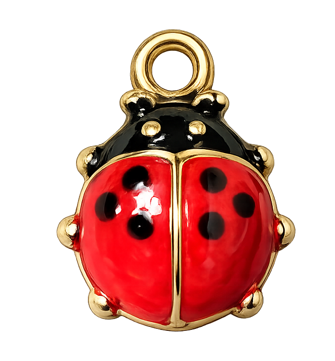 Coccinelle dorée