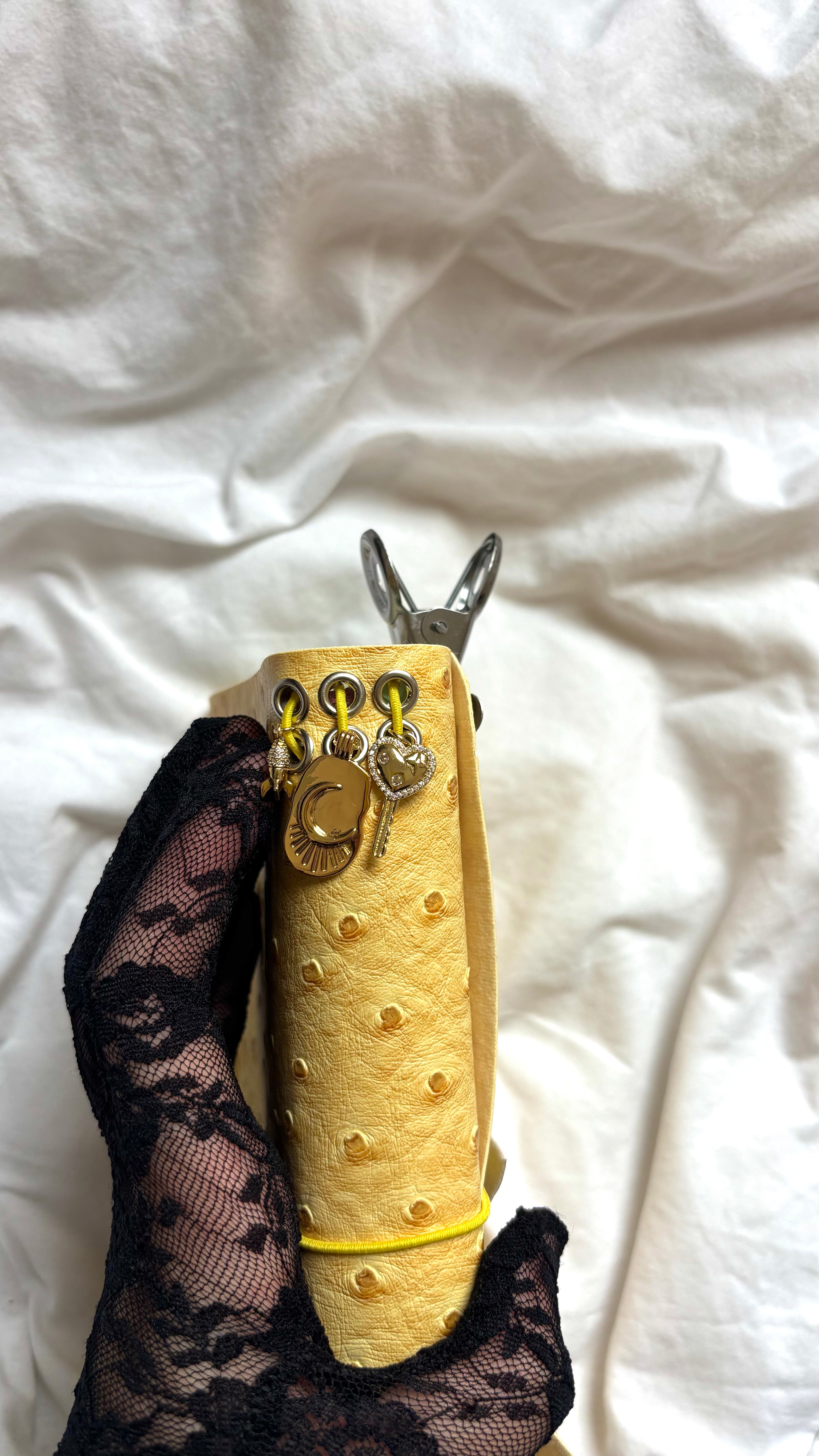 PRÉCOMMANDE JOURNAL "SUNNY"