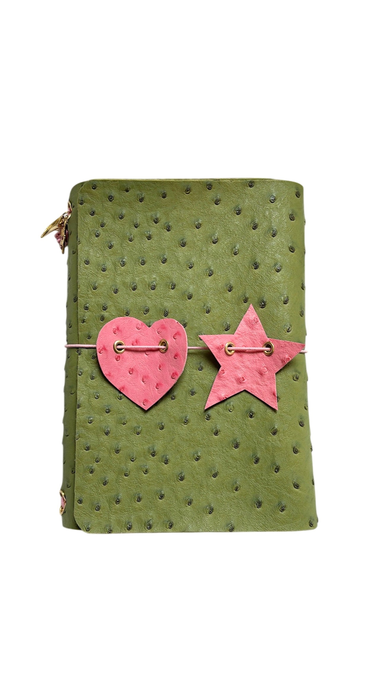 PRÉCOMMANDE JOURNAL "ROBIN"