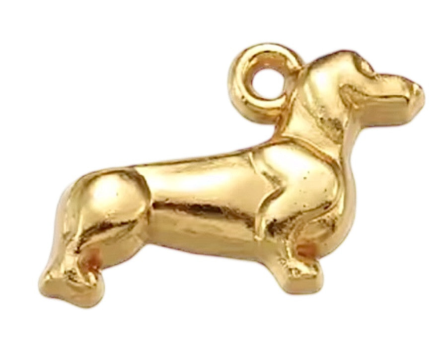 Chien doré