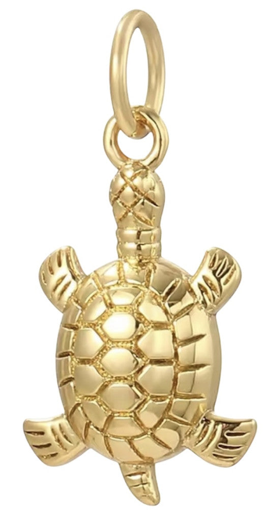 Tortue dorée
