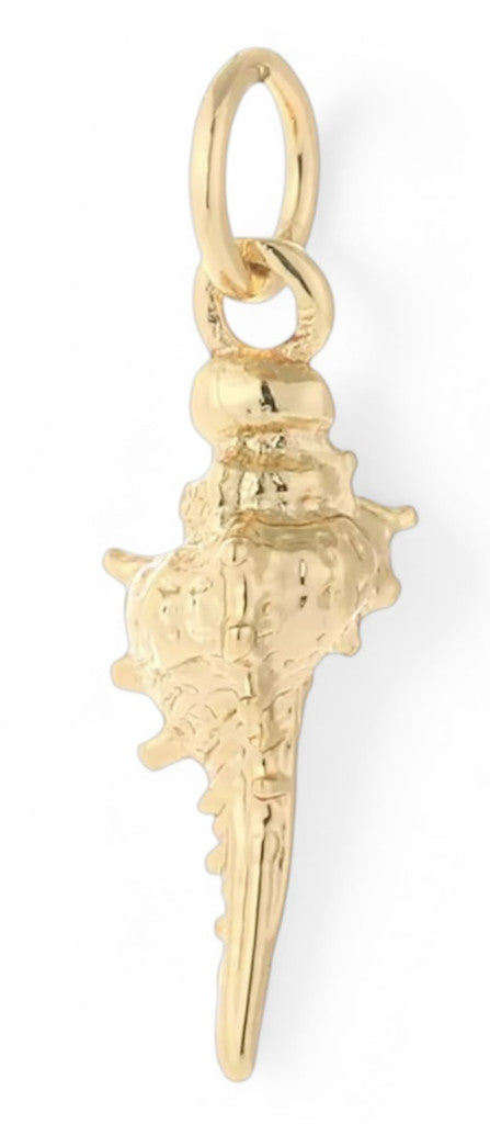 Coquillage doré
